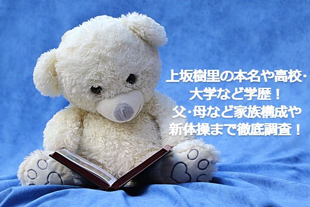 クマのぬいぐるみが本を読んでいる画像 記事タイトル：上坂樹里の本名や高校･大学など学歴！父･母など家族構成や新体操まで徹底調査！