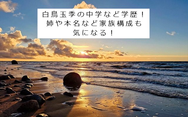 白鳥玉季のイメージ写真 記事タイトル：白鳥玉季の中学など学歴！姉や本名など家族構成も気になる！